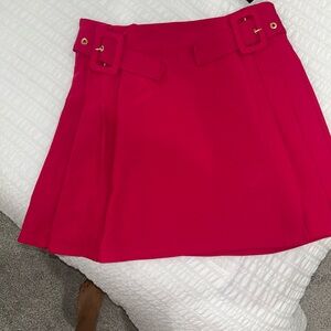 Zara hot Pink Pleated Skirt